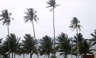 Một bức ảnh chụp khu vực cảng Ream từ năm 2019. (Ảnh: Reuters)