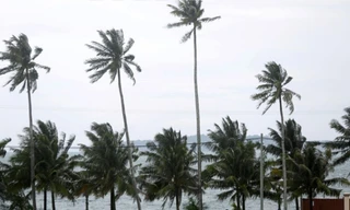 Một bức ảnh chụp khu vực cảng Ream từ năm 2019. (Ảnh: Reuters)