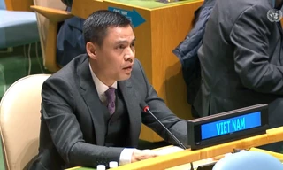 Đại sứ Việt Nam tại Liên Hợp quốc Đặng Hoàng Giang. (Ảnh: Mofa)