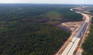 Khu vực sẽ được xây dựng thành thủ đô mới của Indonesia. (Ảnh: CNA)