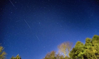 5 vệ tinh của SpaceX được chụp tại Đan Mạch vào ngày 21/4/2020. (Ảnh: Reuters)