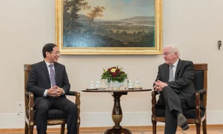 Bộ trưởng Ngoại giao Bùi Thanh Sơn chào xã giao Tổng thống Đức Frank-Walter Steinmeier ngày 27/9. (Ảnh: Mofa)