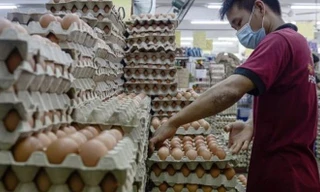 Nguồn cung trứng gà ở nhiều tỉnh thành Trung Quốc thiếu hụt vì trời quá nóng