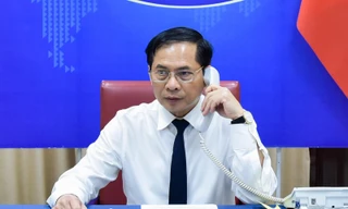 Bộ trưởng Bùi Thanh Sơn tại cuộc điện đàm. (Ảnh: Mofa)