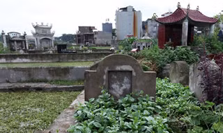 Hà Nội: Rau xanh mơn mởn trên... mộ