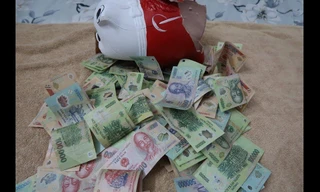 Trộm nhí chui lỗ thông gió, cuỗm lợn tiết kiệm hơn 10 triệu đồng