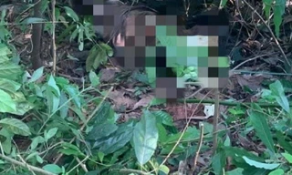 Khu vực người dân phát hiện thi thể nam giới đang phân hủy tại đồi Cao (huyện Thuỷ Nguyên, TP Hải Phòng).