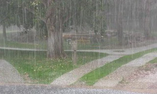 Không khí lạnh tràn về, nhiều nơi mưa rào