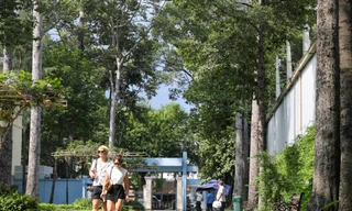 Bên trong công viên Tao Đàn, nơi xảy ra vụ nhánh cây rơi khiến 5 người thương vong