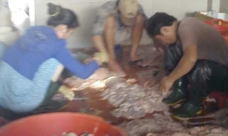 'Công nghệ' làm lạp xưởng, chà bông siêu bẩn