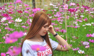  Vườn hoa thơ mộng đẹp 'hút hồn' bạn trẻ ở Cần Thơ