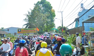 Xe kẹt cứng ở làng hoa Sa Đéc lớn nhất miền Tây