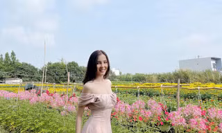 Hoa khôi Thúy Vi khoe sắc vóc gợi cảm bên làng hoa đón Xuân