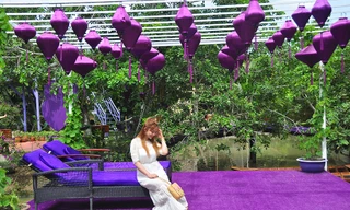 Căn nhà màu tím độc đáo ở Cần Thơ hút khách đến 'check-in'