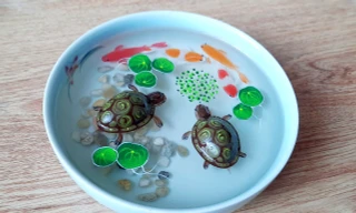 Mãn nhãn tranh 3D của thanh niên khuyết tật ở Cần Thơ