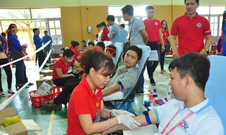 Giọt hồng nơi đất mũi