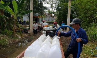 Cận cảnh hạn mặn khốc liệt đe dọa cuộc sống người dân ĐBSCL