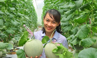 Việt Nam nằm trong top 3 hệ sinh thái khởi nghiệp sáng tạo lớn nhất Đông Nam Á ​