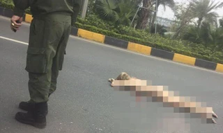 Hiện trường xảy ra vụ việc