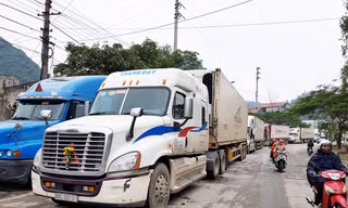 Để giữ khách trong bối cảnh thị trường cạnh tranh gay gắt, các doanh nghiệp vận tải không dám tăng giá cước dù giá xăng dầu tăng mạnh.