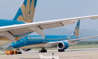 Năm 2019, Vietnam Airlines chính thức chạm mốc 100 tàu bay, với lợi nhuận trước thuế hơn 3.300 tỷ đồng.