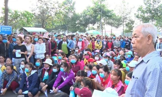 Kiến nghị khởi tố 354 vụ gian lận BHXH