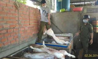 Số thịt heo bẩn được phát hiện.