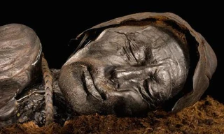 Xác ướp đầm lầy nguyên vẹn nhất thế giới có tuổi thọ 2.400 năm được tìm thấy ở Đan Mạch. Ảnh: Robert Clark.