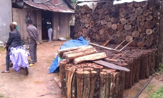 Dấu hiệu nhận biết ngôi nhà có con gái đến tuổi “bắt chồng” là củi.