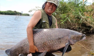 Câu được cá trắm đen khổng lồ. Ảnh minh họa.