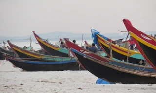 Cá chết, thuyền nằm bờ, ngư dân điêu đứng.