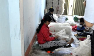 Miến dong được sản xuất, chế biến và bảo quản mất vệ sinh. 