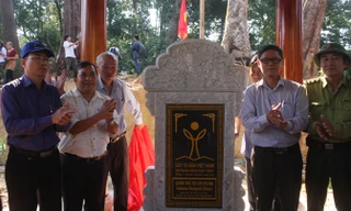 Gắn biển rừng cây di sản đối với quần thể rừng Pơ mu quý hiếm.