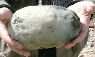 Cặp đôi người Anh vô tình nhặt được kho báu khi đang dạo bờ biển. Ảnh: Mirror.