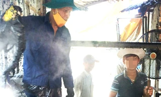 Hãi hùng lò giết mổ nhổ lông gia cầm bằng hóa chất