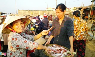 Chợ cá Hà Tĩnh tấp nập trở lại, giá tăng vọt