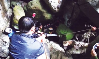 Lực lượng cứu hộ đưa nạn nhân lên khỏi hang.