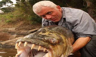 Sốc với bộ sưu tập quái ngư nước ngọt của thợ săn cá