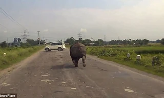 Hình ảnh cắt từ clip