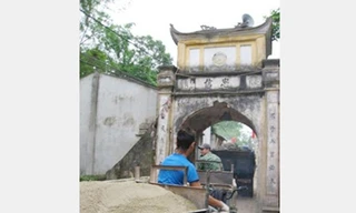 Cự Đà - tân hóa vì nhiều tiền