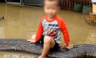 Cậu bé cưỡi trăn tại Thanh Hóa nổi tiếng trên báo nước ngoài