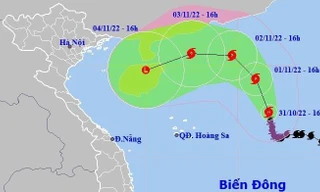 Dừng cấp phép bay, tàu, thuyền đi vào vùng ảnh hưởng bão số 7