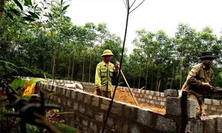 Ngăn người dân xây dựng, trồng cây để trục lợi đền bù làm cao tốc Bắc – Nam