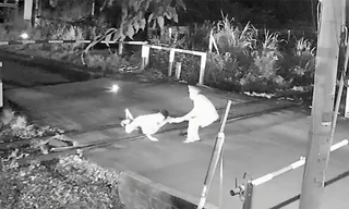 Nín thở xem nhân viên gác chắn cứu người ngay trước mũi tàu