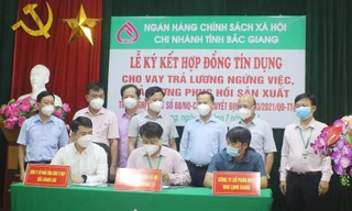 Cho vay trả lương phục hồi sản xuất: Chỉ giải ngân được nửa số tiền dự kiến