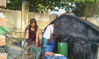 Dân khát, lúa chết