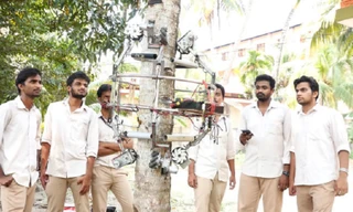 Robot cũng leo trèo hái dừa như thợ chuyên nghiệp