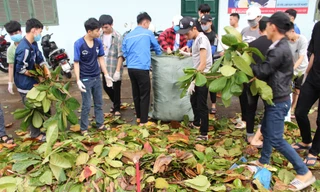 Bão số 13 sắp đổ bộ, sinh viên Đà Nẵng, Huế lại nghỉ học