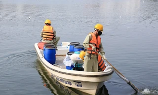 Vì sao Tổng giám đốc Cty Thoát nước Hà Nội bị bắt tạm giam?