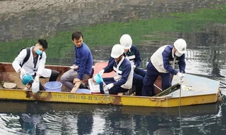 Đại diện Viện Công nghệ môi trường lấy mẫu nước sông Tô Lịch để kiểm tra sáng 20/5